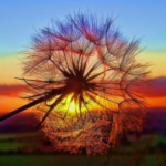 Zhanna_Aleksandrovna